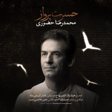 محمدرضا حضورى – حسرت پرواز